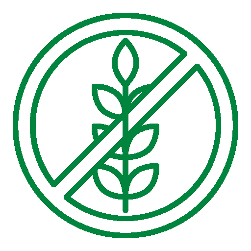 Gluten Intolerance