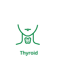 Thyroid
